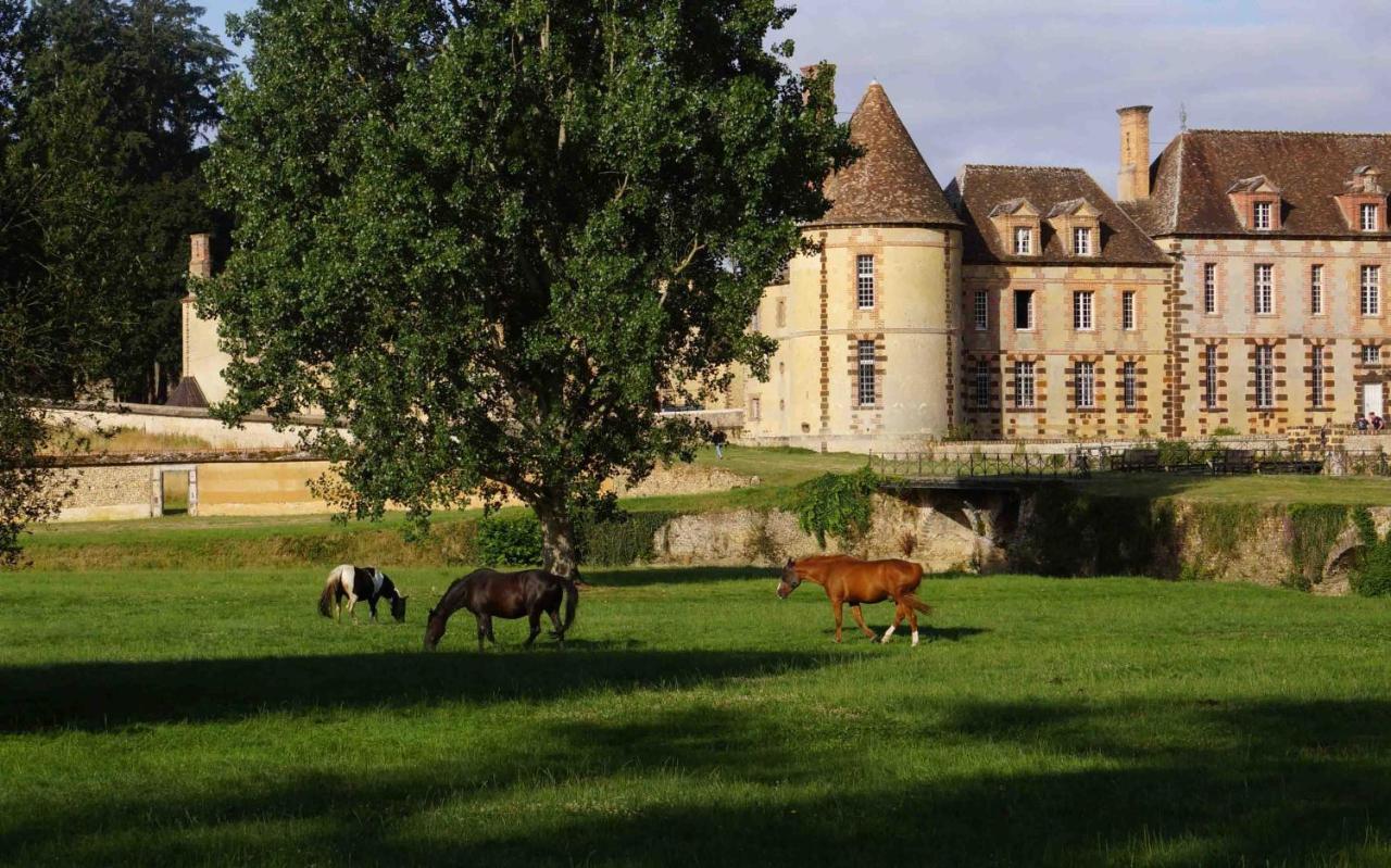 Chateau De La Riviere Pontgouin Esterno foto